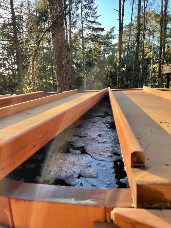 Bain De Foret - Lodges Cosy & Spa Neufchâtel-Hardelot Dış mekan fotoğraf