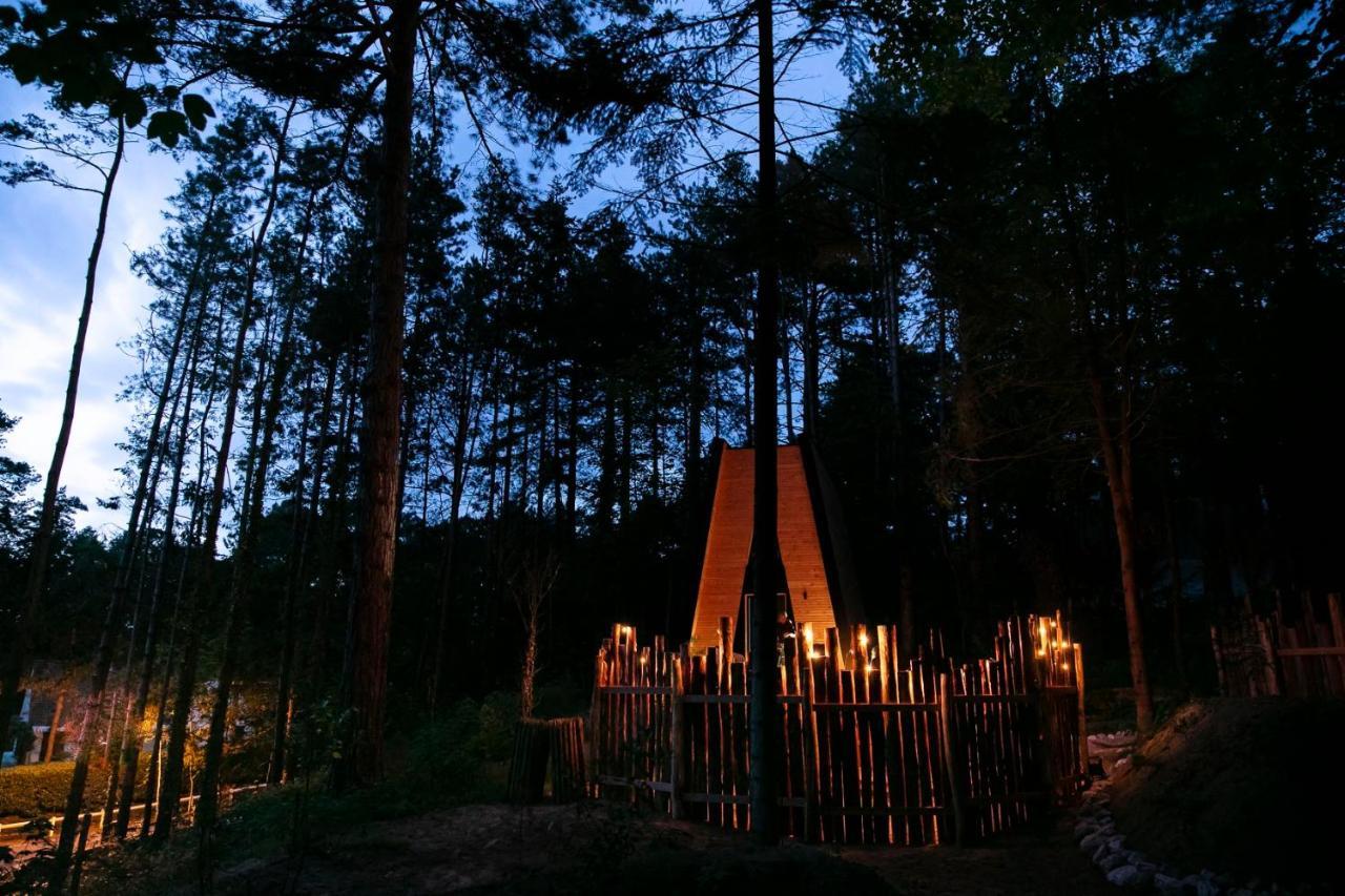 Bain De Foret - Lodges Cosy & Spa Neufchâtel-Hardelot Dış mekan fotoğraf