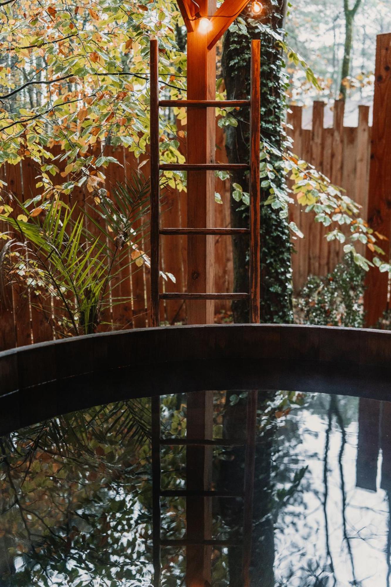 Bain De Foret - Lodges Cosy & Spa Neufchâtel-Hardelot Oda fotoğraf