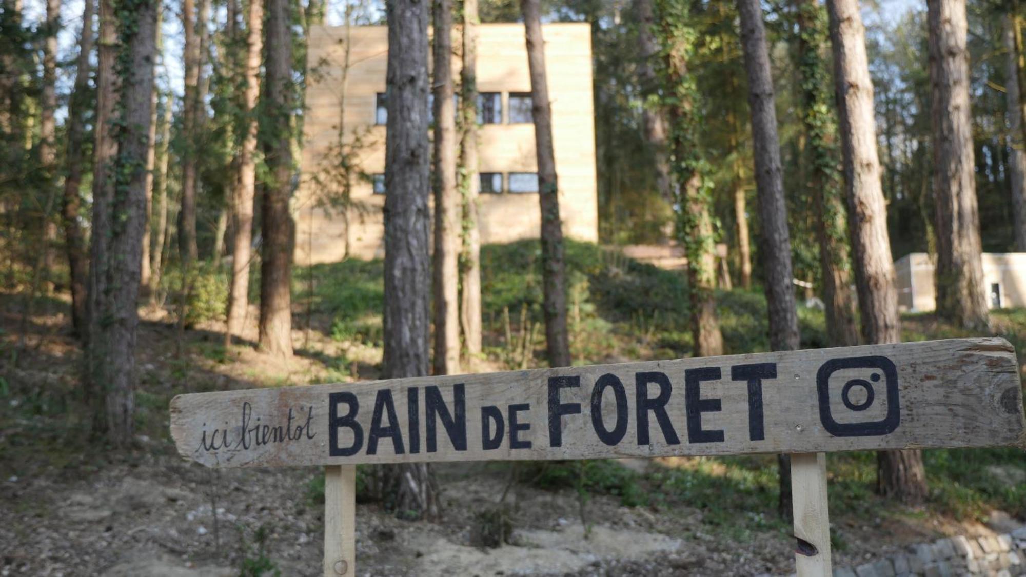 Bain De Foret - Lodges Cosy & Spa Neufchâtel-Hardelot Oda fotoğraf